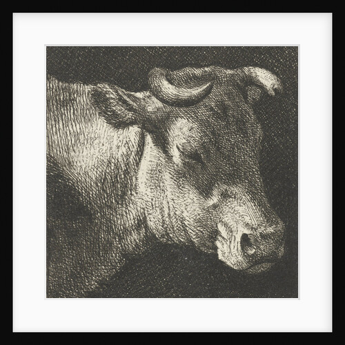 cow right by Simon Andreas Krausz