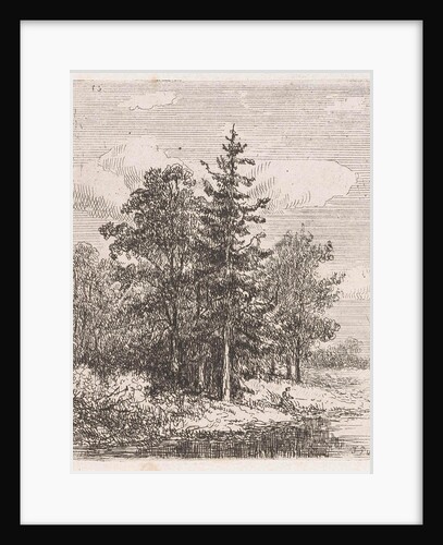 Fishing for a group of trees by Johannes Pieter van Wisselingh