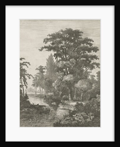 forest scene with two ducks nesting in a river by Hermanus Jan Hendrik van Rijkelijkhuysen