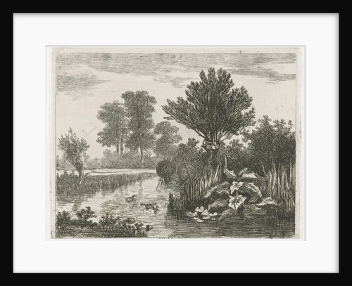 Ducks in a ditch by Hermanus Jan Hendrik van Rijkelijkhuysen