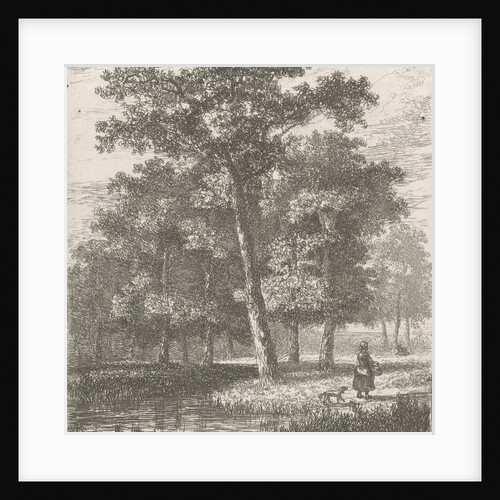 forest scene with a woman and a dog at a lake by Hermanus Jan Hendrik van Rijkelijkhuysen