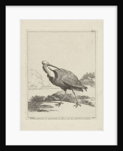 Turkey by Simon Fokke