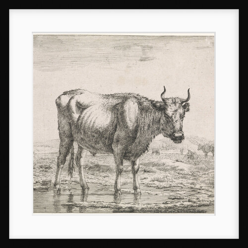 ox standing in the water by Anonymous