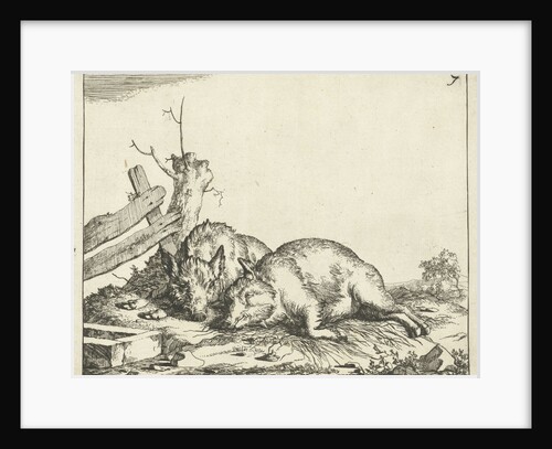 Two pigs lying near a fence by Paulus Potter