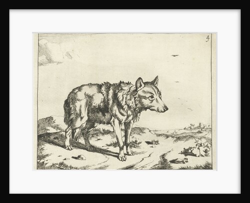 Standing wolf, and profil by Paulus Potter