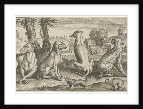 Dogs by Abraham de Bruyn