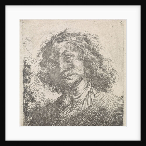 Portrait of a man with long hair by Carel de Moor II