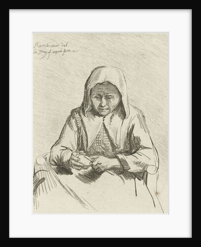 Apple different woman by Johannes Pieter de Frey