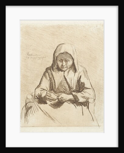 Apple different woman by Johannes Pieter de Frey