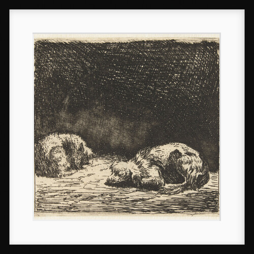 Sleeping dog and cat by Karel Dujardin