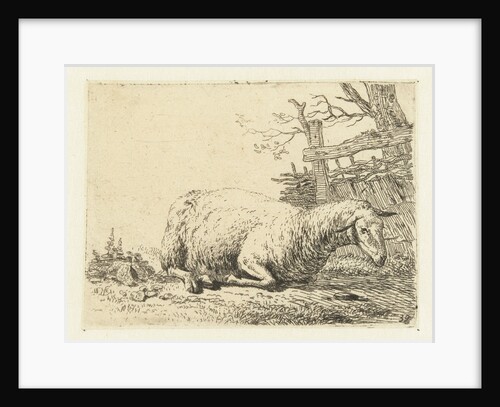 Sheep near a braided fence by Karel Dujardin
