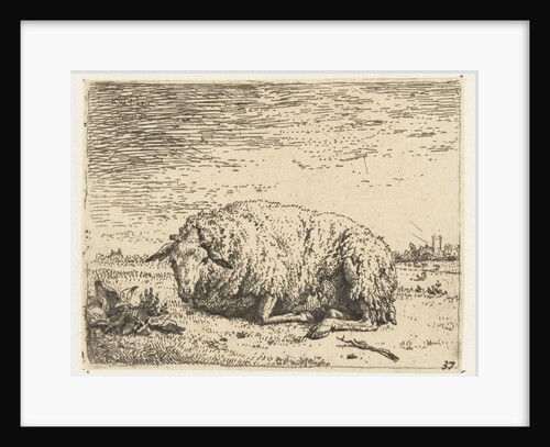 Resting sheep by Karel Dujardin