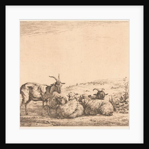 Two goats and three sheep by Karel Dujardin