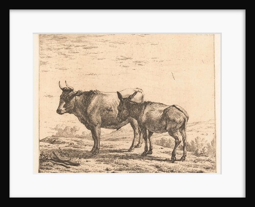 Ox and donkey by Karel Dujardin