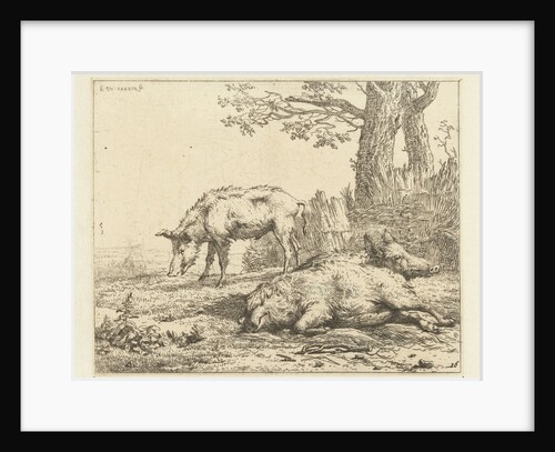 Three pigs in a hedge by Karel Dujardin