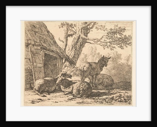 Four sheep by Karel Dujardin