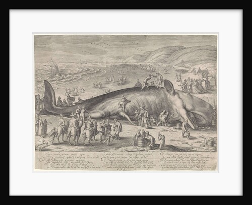 Battle between Alexander the Great and Darius III by Whale stranded near Berckhey