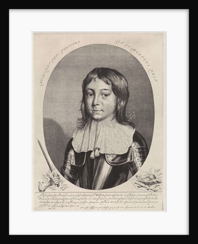 Portrait of Wolfert Brederode by Theodor Matham