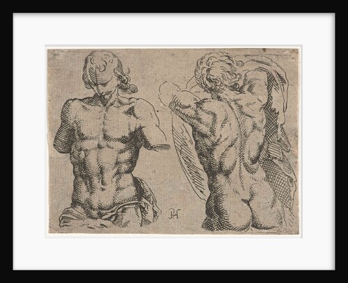Study Sheet with two male torsos by Pieter Feddes van Harlingen