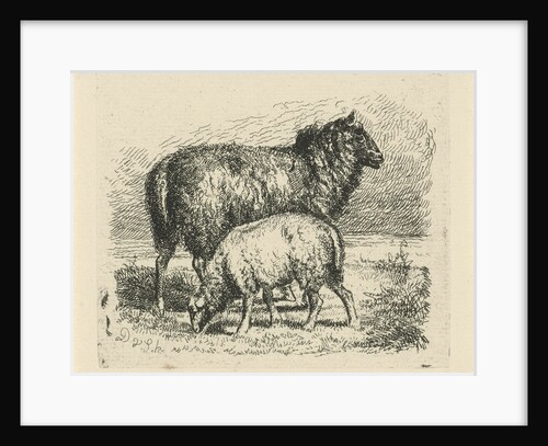 Black Sheep with lamb by Dirk van Lokhorst