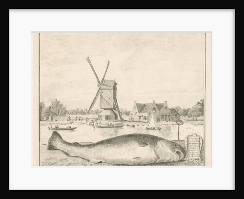 Cod caught in 't Spaarne by Cornelis van Noorde