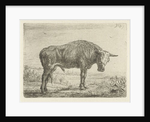 Standing bull by Jacobus Cornelis Gaal