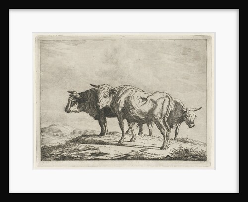 Three oxen by Pieter Gaal