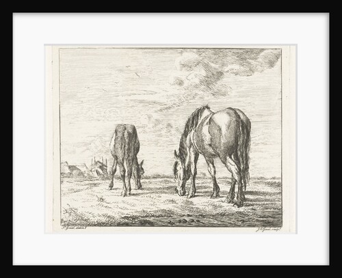 Two grazing horses by Jacobus Cornelis Gaal