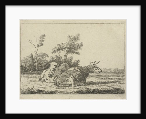 Two white cows lying in front of a group of trees by Pieter Gaal