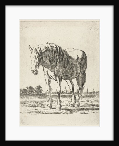Single white horse by Jacobus Cornelis Gaal