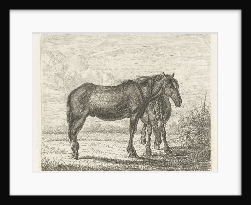 Two horses by Pieter Gaal
