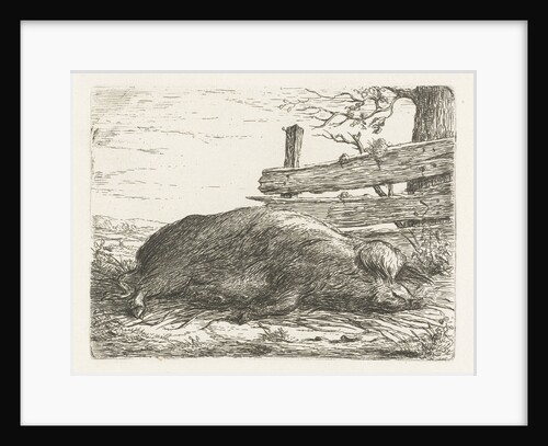 Lying boar by Pieter Gaal