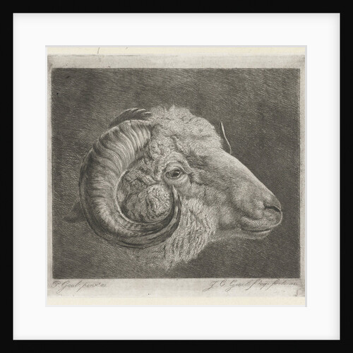 Head of a ram to the eye curved horn by Pieter Gaal