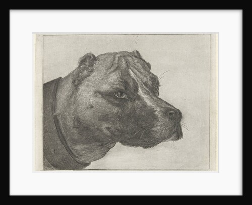 Dogs head with collar by Pieter Gaal