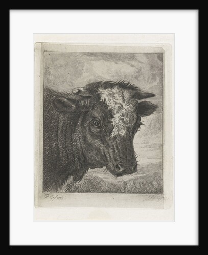 Head of a cow with white kol by Jacobus Cornelis Gaal
