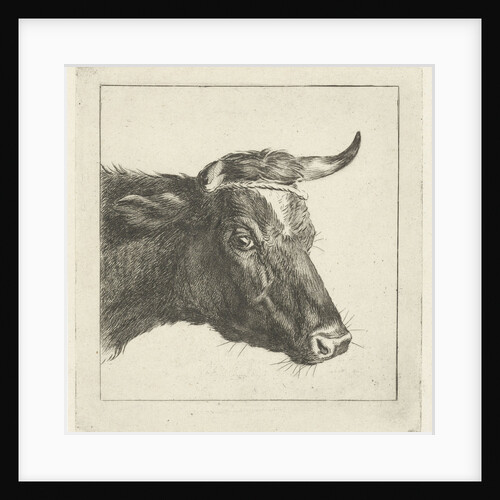Head of a cow with rope to the horns by Pieter Gaal