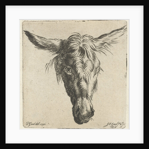 Head of a donkey by Nicolaes Pietersz. Berchem