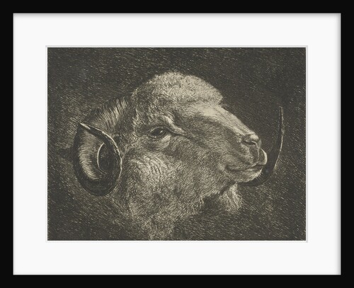 Head of a ram with twisted horns backward by Jacobus Cornelis Gaal