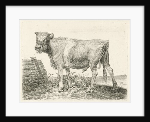 Taurus by Johannes Mock