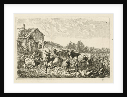 Four goats and sheep at home by Johannes Mock