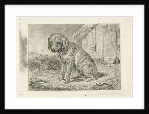 Sitting dog in a barn by Johannes Mock