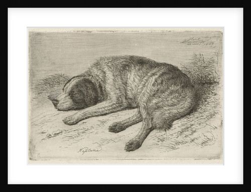 Sleeping dog left by Johannes Mock