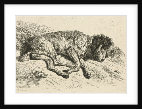 Sleeping dog by Johannes Mock