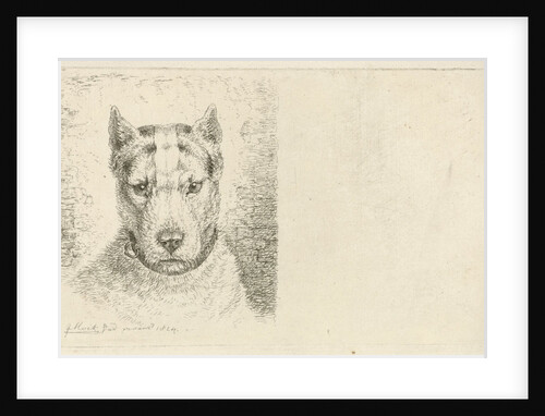 Dogs head with collar by Johannes Mock