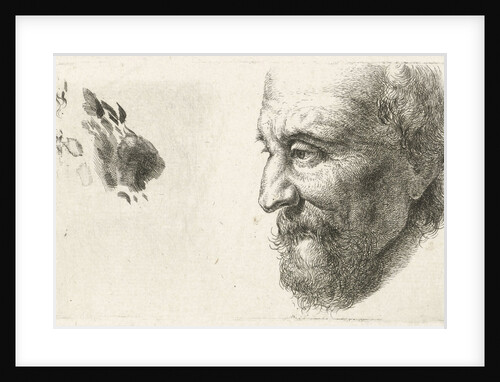 Face of an old man in profile by Johannes Mock