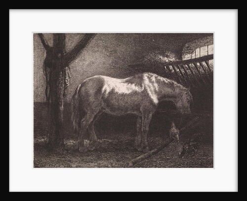 Horse in stable by Jan Vrolijk