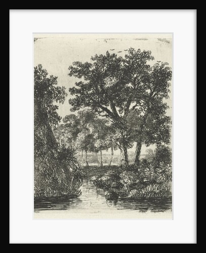 Wooded area with streams by Hermanus Jan Hendrik van Rijkelijkhuysen