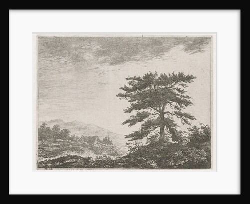 Tree in a moorland by Christiaan Wilhelmus Moorrees