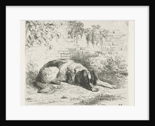 Reclining dog in front of a wall by Christiaan Wilhelmus Moorrees