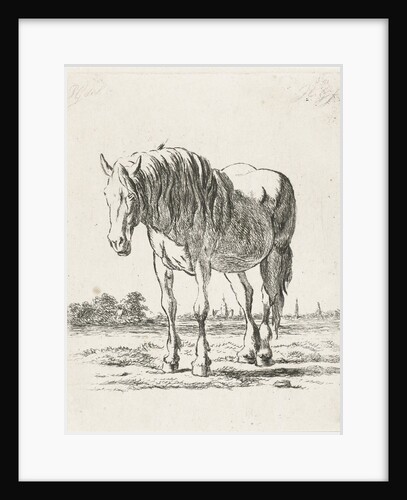 Single white horse by Jacobus Cornelis Gaal